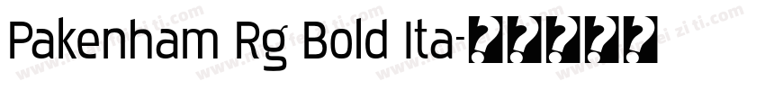 Pakenham Rg Bold Ita字体转换